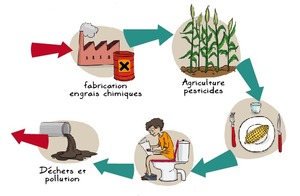 Ciclo industrial roto 