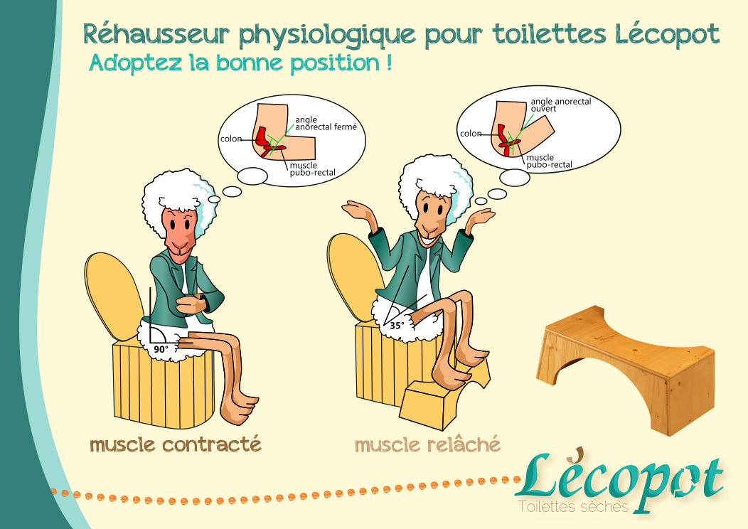 Accessoire ergonomie : le tabouret réhausseur physiologique pour toilettes