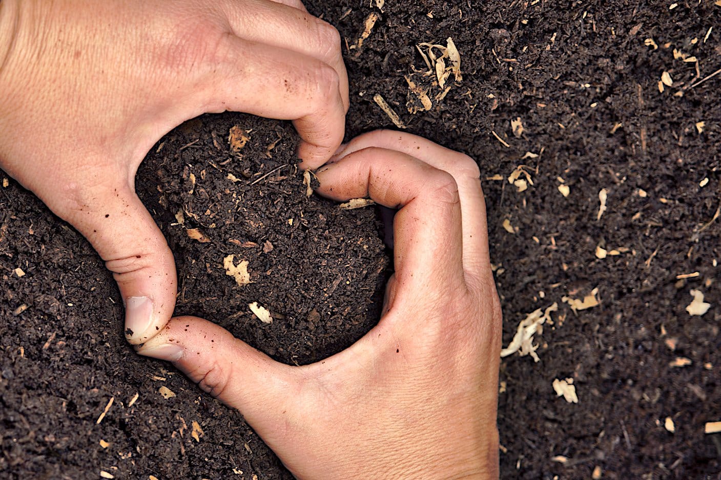 Le cœur du compost.