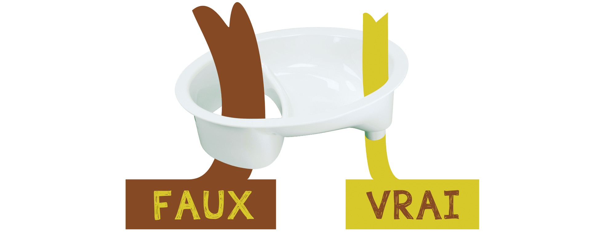 Séparons le vrai du faux sur les toilettes sèches à séparation d'urines.